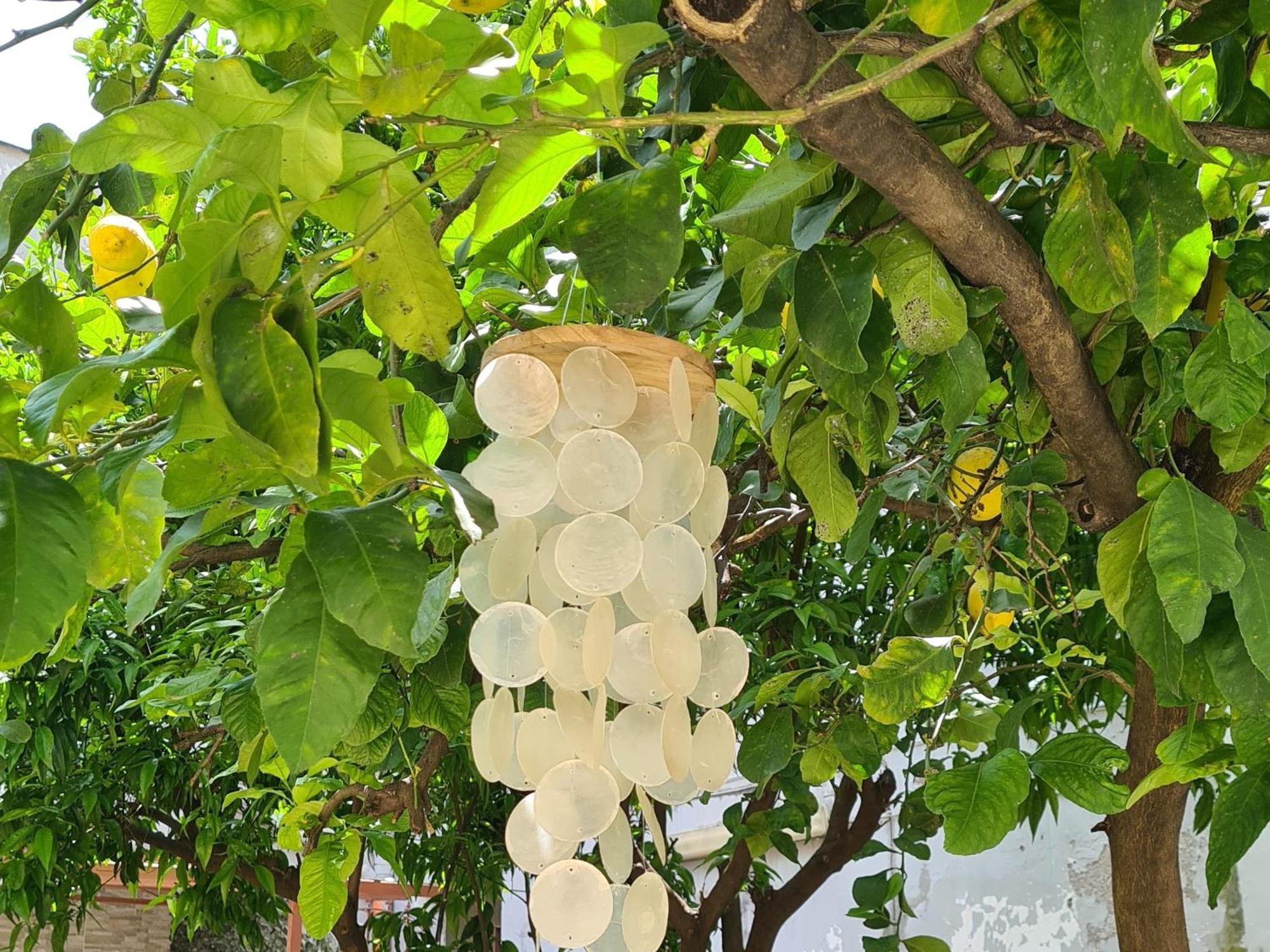 Divi Palace Villa Torre Annunziata Ngoại thất bức ảnh